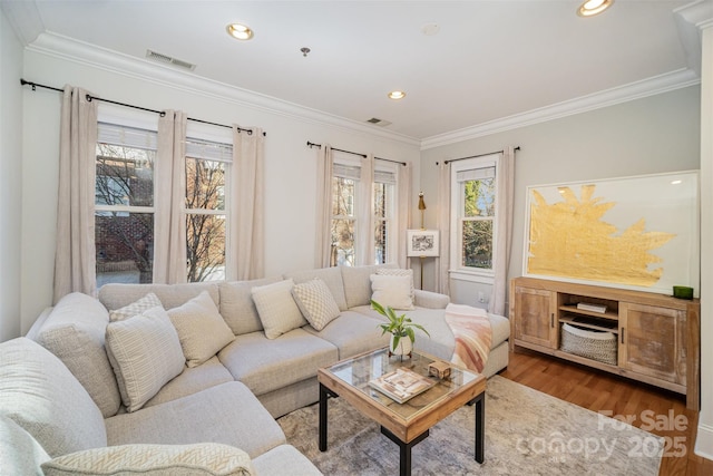 living room with hardwood / wood-style flooring, a wealth of natural light, and crown molding