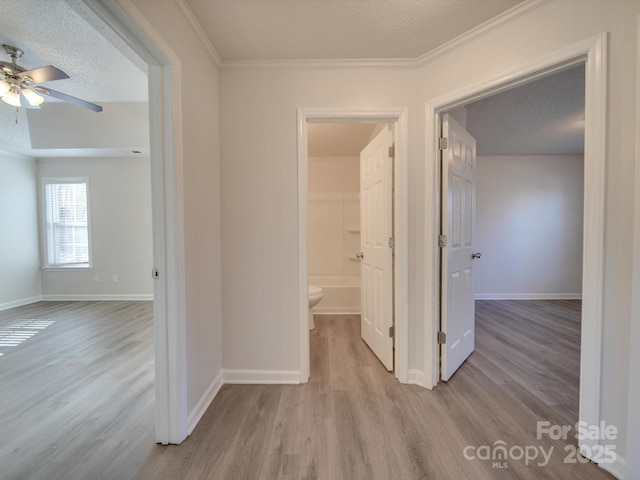 hall featuring ornamental molding, light hardwood / wood-style floors, and a textured ceiling