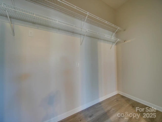 spacious closet featuring hardwood / wood-style flooring