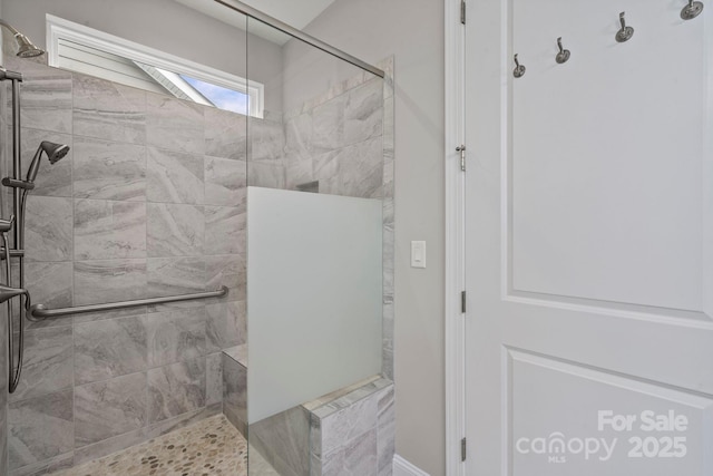 253 Stone Mountain Way, Denver, NC 28037 - bathroom with walk in shower
