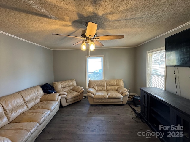 living room featuring plenty of natural light, dark hardwood / wood-style flooring, and a textured ceiling