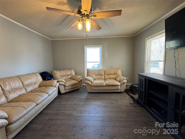 living room with dark hardwood / wood-style floors, a healthy amount of sunlight, crown molding, and a textured ceiling