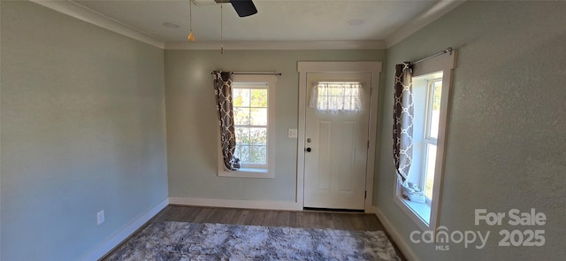 foyer entrance featuring crown molding, ceiling fan, and dark wood-type flooring