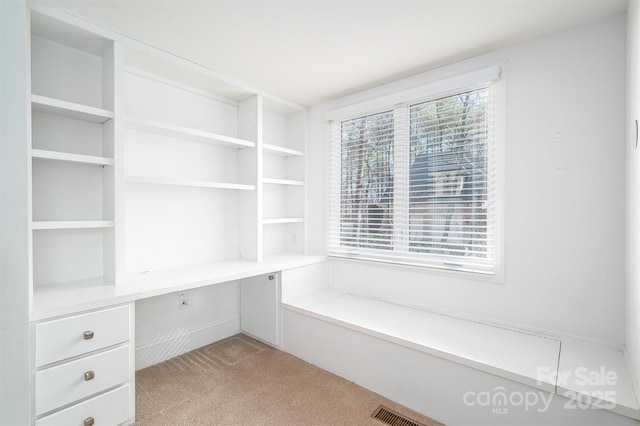 walk in closet with built in desk and light colored carpet