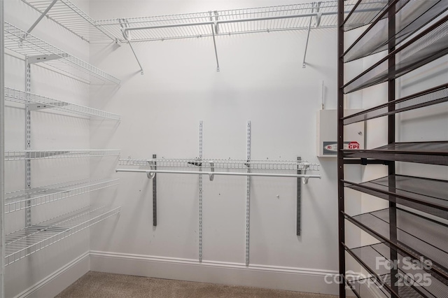 spacious closet with carpet floors