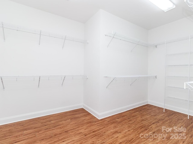 spacious closet featuring wood-type flooring