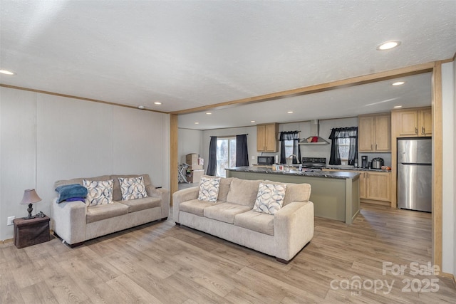 living room with light wood-type flooring, a textured ceiling, and sink