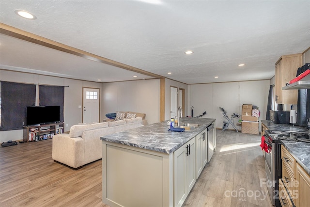 kitchen featuring light stone countertops, stainless steel electric range, sink, light hardwood / wood-style flooring, and a center island with sink