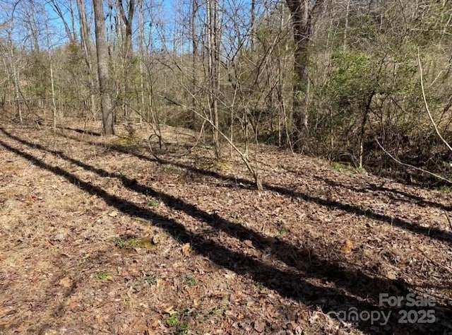 352 Walnut Grove Dr, Nebo, NC 28761 - photo 2