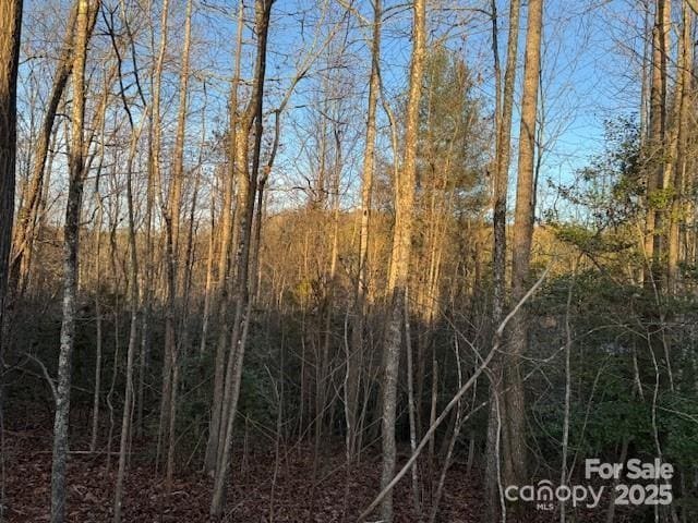 352 Walnut Grove Dr, Nebo, NC 28761 - photo 8
