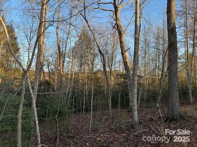 352 Walnut Grove Dr, Nebo, NC 28761 - photo 10