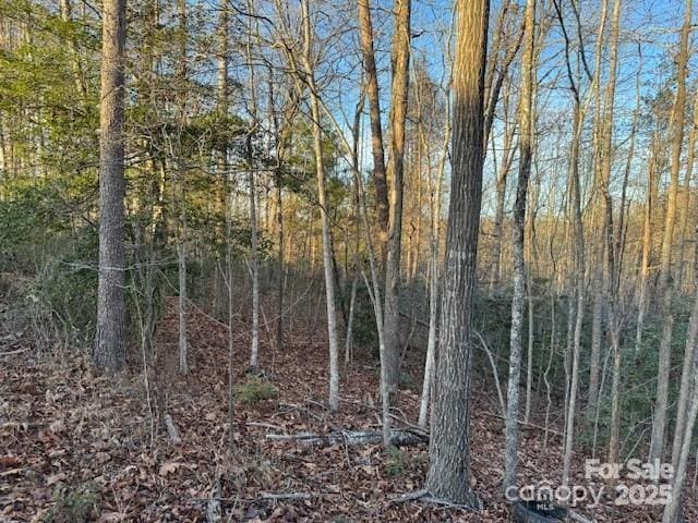 352 Walnut Grove Dr, Nebo, NC 28761 - photo 12