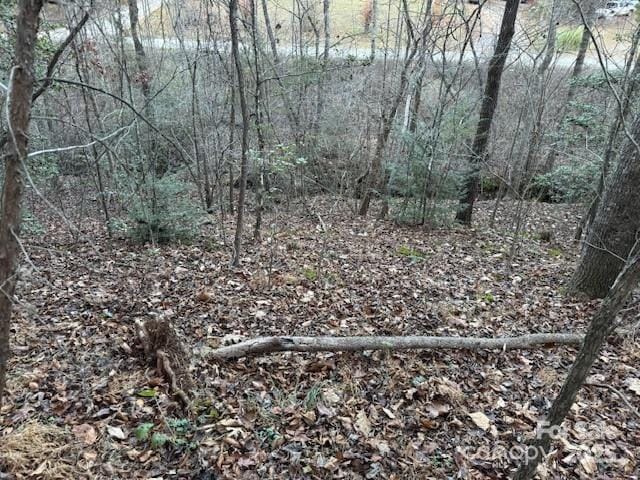 352 Walnut Grove Dr, Nebo, NC 28761 - photo 13