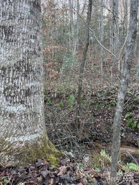 352 Walnut Grove Dr, Nebo, NC 28761 - photo 17
