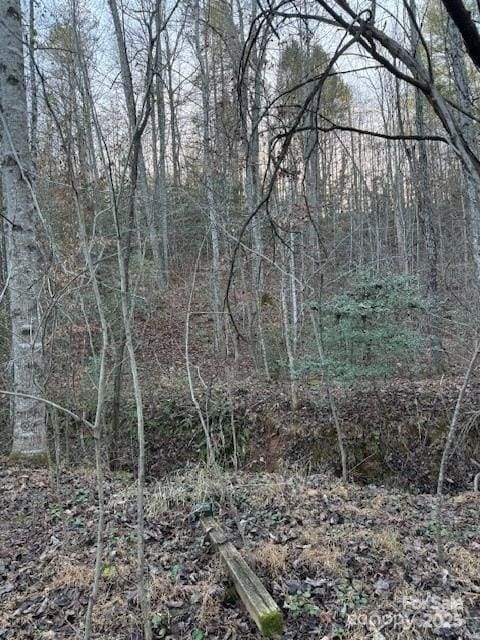352 Walnut Grove Dr, Nebo, NC 28761 - photo 19