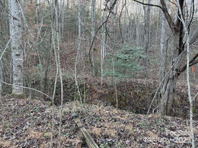 352 Walnut Grove Dr, Nebo, NC 28761 - photo 20