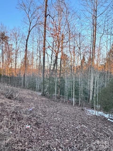 352 Walnut Grove Dr, Nebo, NC 28761 - photo 22