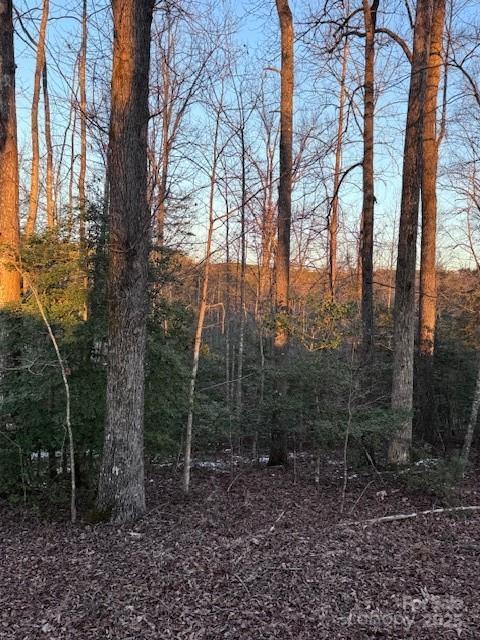 352 Walnut Grove Dr, Nebo, NC 28761 - photo 23
