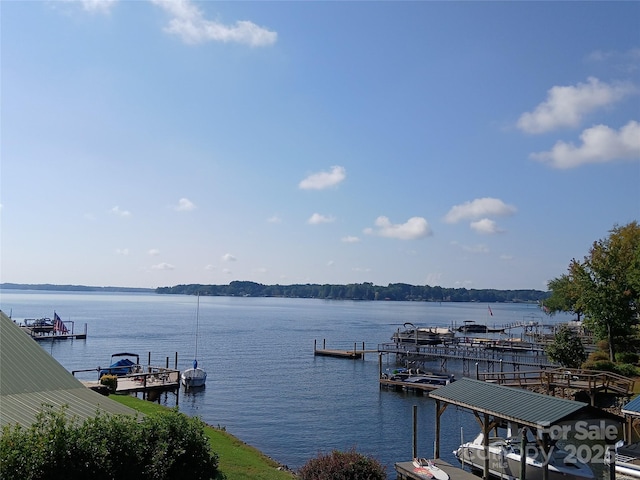 dock area featuring a water view