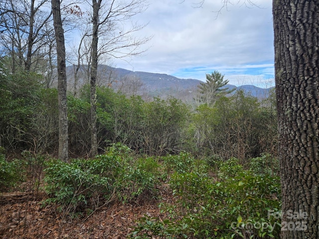 TBD Lakeside Dr Unit Lm 14, Lake Toxaway NC, 28747 land for sale