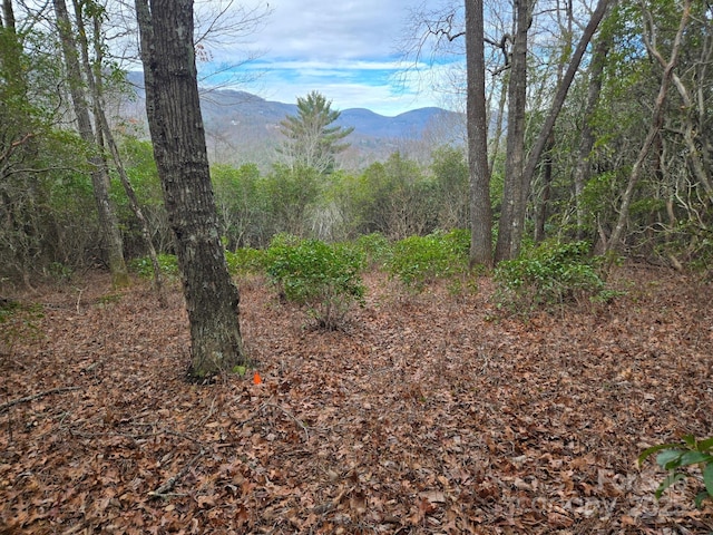 Listing photo 2 for TBD Lakeside Dr Unit Lm 14, Lake Toxaway NC 28747