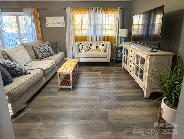 living room with dark hardwood / wood-style flooring