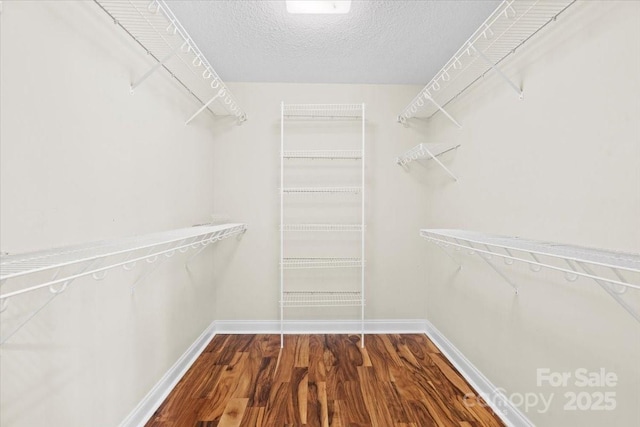 spacious closet featuring hardwood / wood-style floors