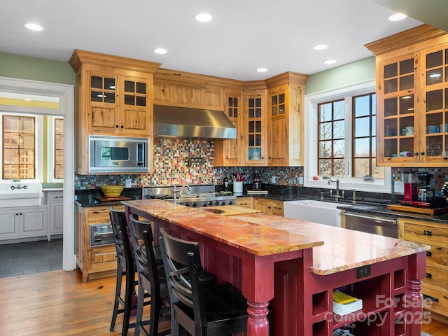 kitchen featuring light hardwood / wood-style floors, stainless steel appliances, an island with sink, sink, and range hood