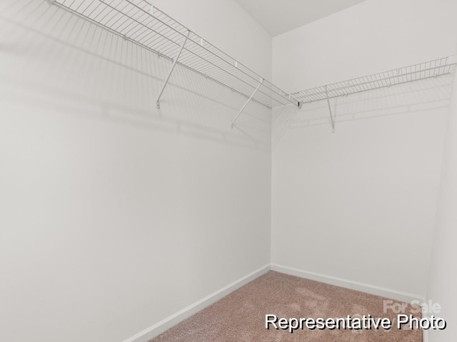 spacious closet with carpet