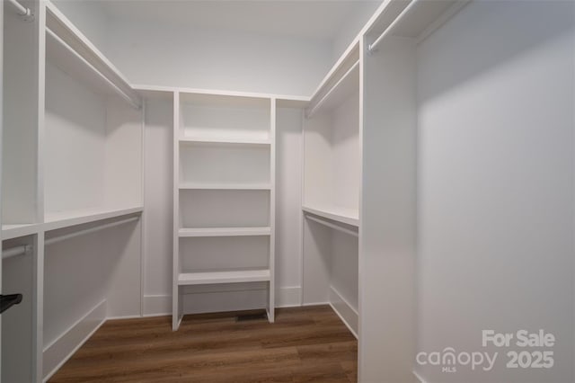 spacious closet with dark hardwood / wood-style flooring