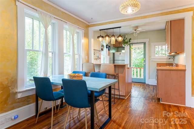 dining space with ceiling fan, dark hardwood / wood-style flooring, and a healthy amount of sunlight