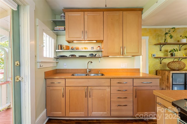 kitchen with light brown cabinets and sink