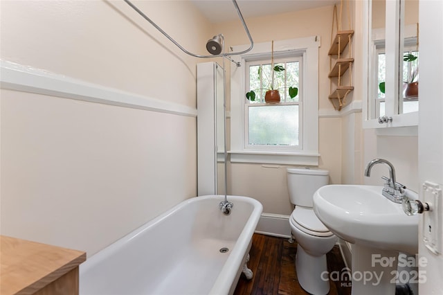 bathroom featuring toilet and hardwood / wood-style floors