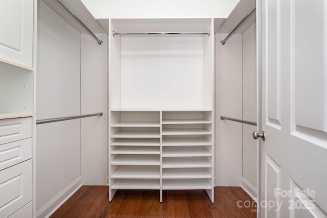 spacious closet featuring dark hardwood / wood-style flooring