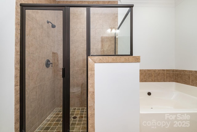 bathroom with independent shower and bath and ornamental molding