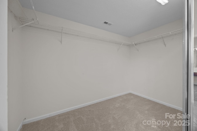 spacious closet with carpet flooring