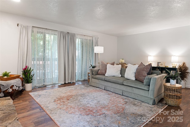 living room with wood-type flooring