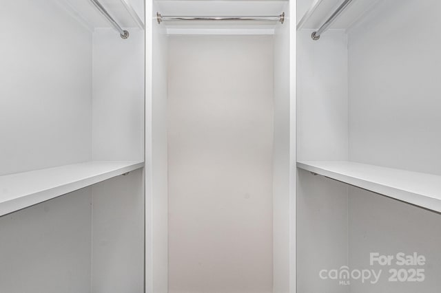 view of spacious closet