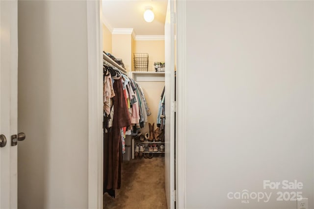 spacious closet with light colored carpet