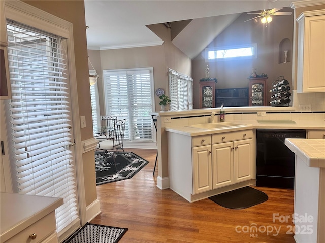 kitchen with tasteful backsplash, light hardwood / wood-style floors, kitchen peninsula, sink, and black dishwasher