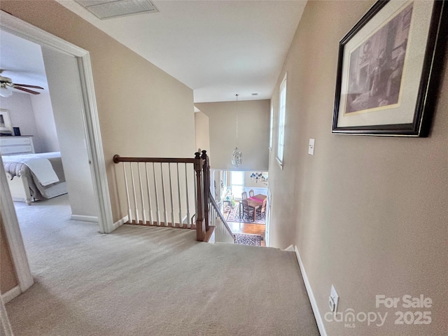 hallway with carpet and a healthy amount of sunlight