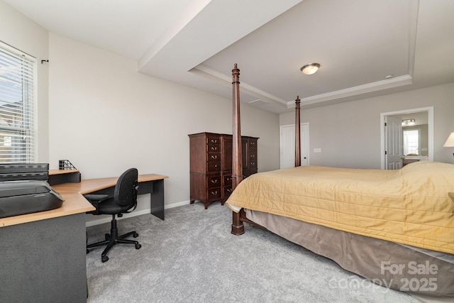 bedroom featuring carpet floors and a tray ceiling