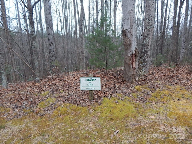 1061 Round Rock Rd Unit 56, Lenoir, NC 28645 - photo 2