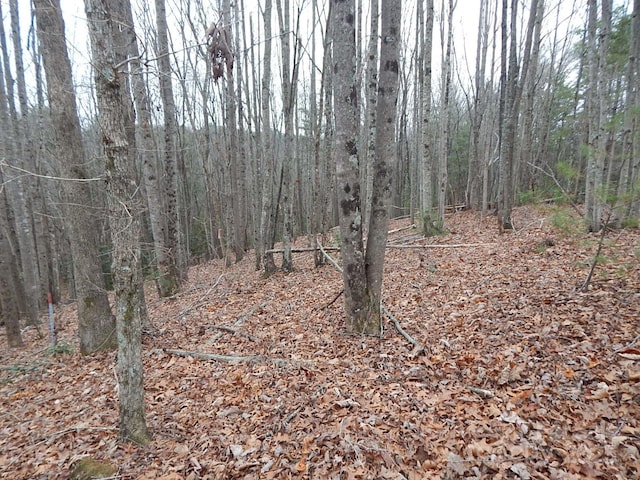 1061 Round Rock Rd Unit 56, Lenoir, NC 28645 - photo 1