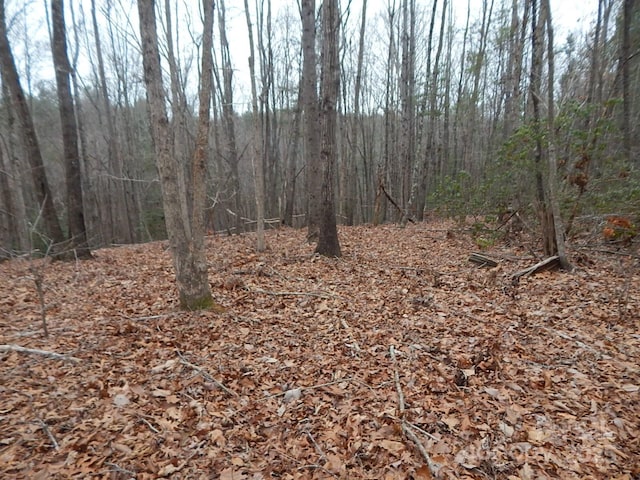 1061 Round Rock Rd Unit 56, Lenoir, NC 28645 - photo 3