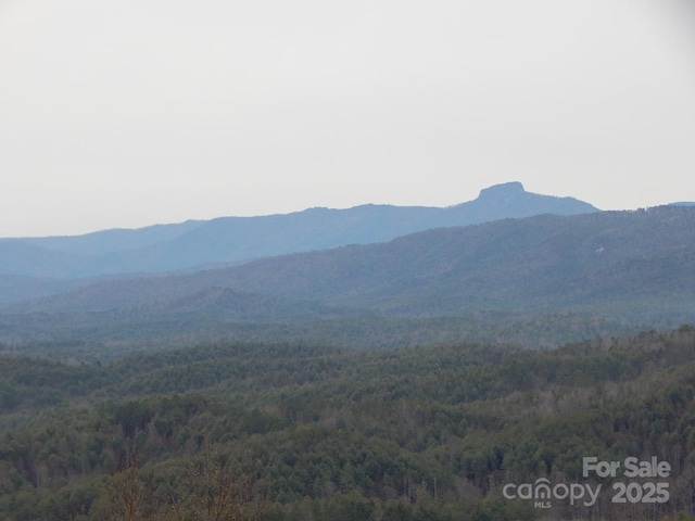 1061 Round Rock Rd Unit 56, Lenoir, NC 28645 - photo 11