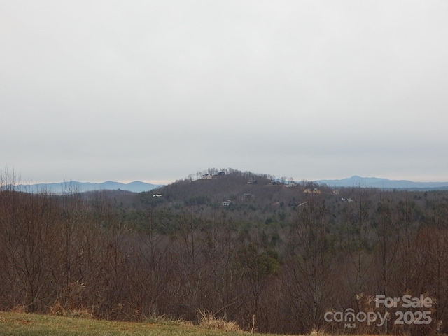 1061 Round Rock Rd Unit 56, Lenoir, NC 28645 - photo 12