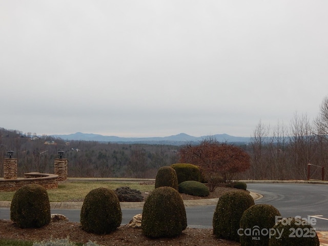 1061 Round Rock Rd Unit 56, Lenoir, NC 28645 - photo 13