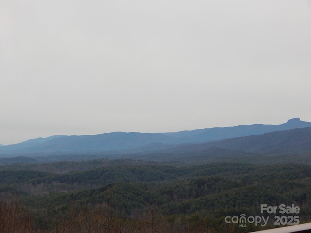 1061 Round Rock Rd Unit 56, Lenoir, NC 28645 - photo 14