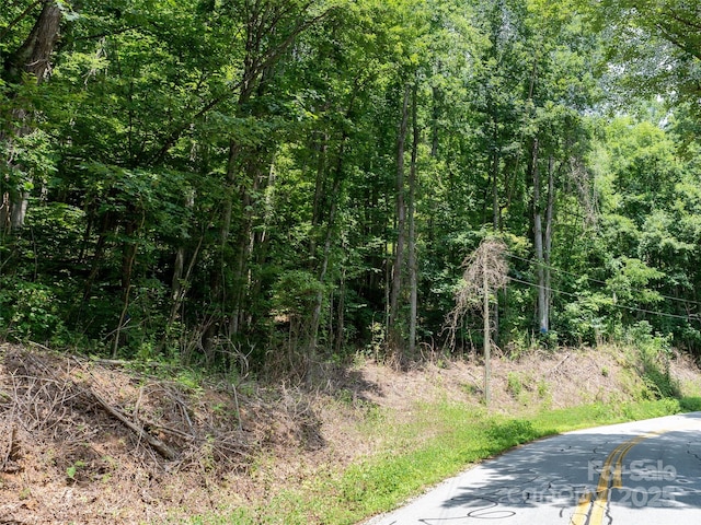 99999 Pinners Cove Rd, Asheville NC, 28803 land for sale